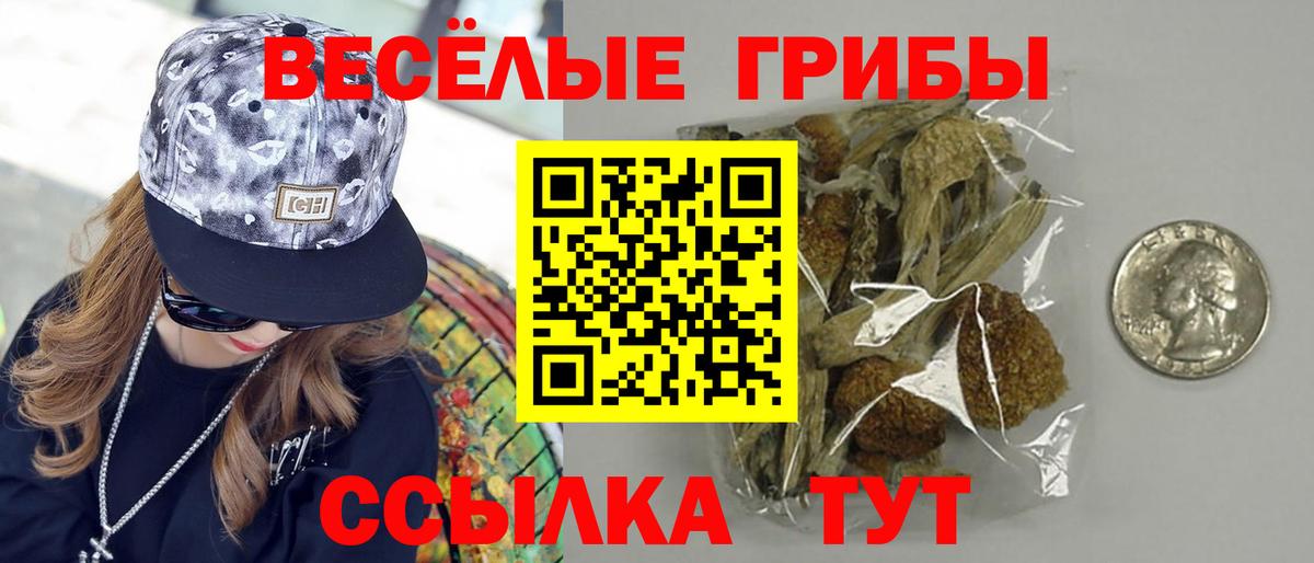 Качканар  Псилоцибиновые грибы MAGIC MUSHROOMS  Вход с VPN  Псилоцибиновые грибы ЛСД 